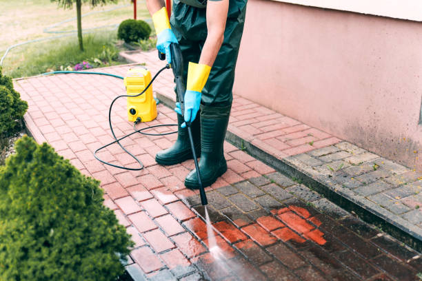 Best Pressure Washing Driveway  in Wolfhurst, OH