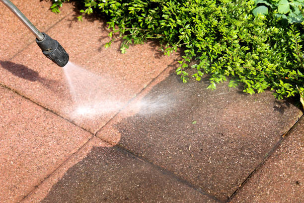 Best Roof Power Washing Services  in Wolfhurst, OH